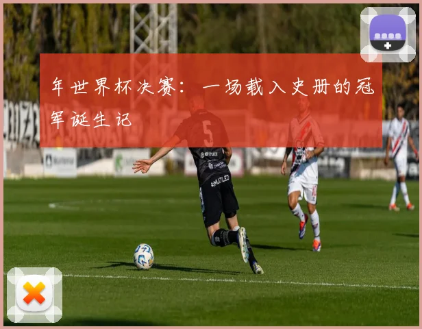 年世界杯决赛：一场载入史册的冠军诞生记