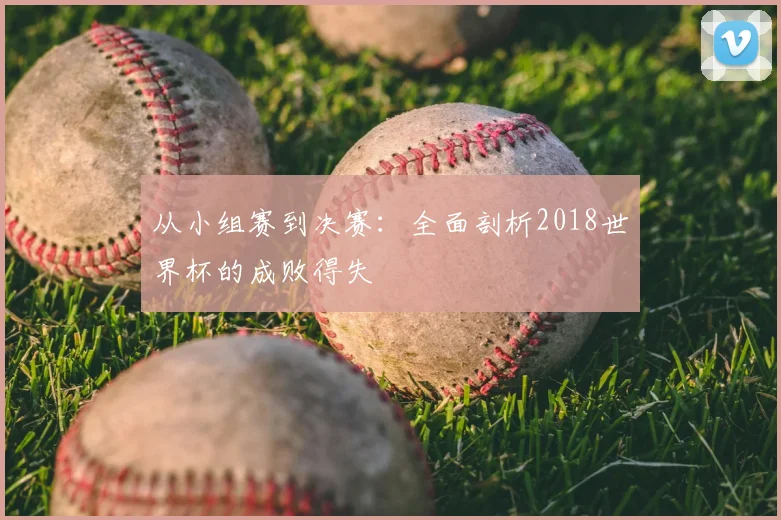 从小组赛到决赛：全面剖析2018世界杯的成败得失
