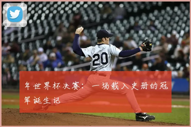 年世界杯决赛：一场载入史册的冠军诞生记