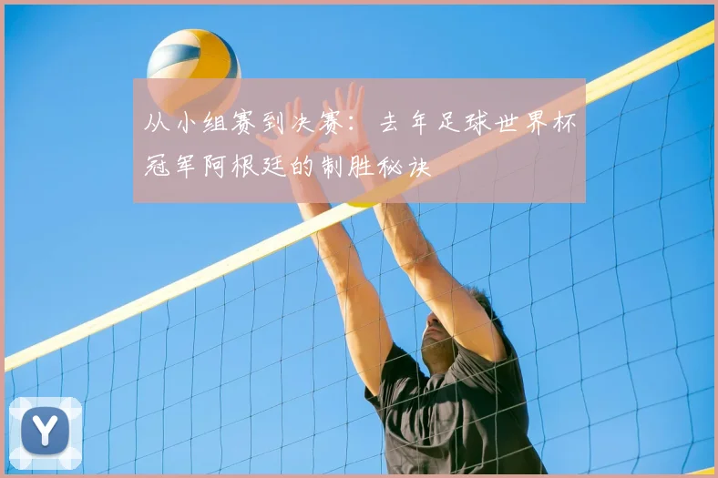 从小组赛到决赛：去年足球世界杯冠军阿根廷的制胜秘诀