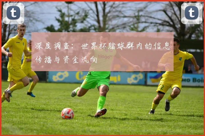 深度调查：世界杯赌球群内的信息传播与资金流向