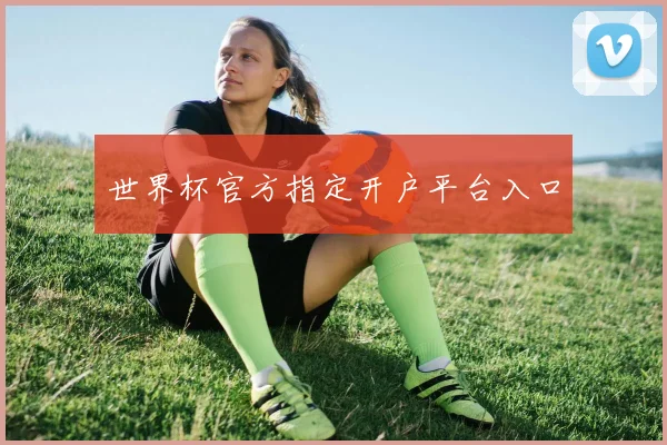 世界杯官方指定开户平台入口